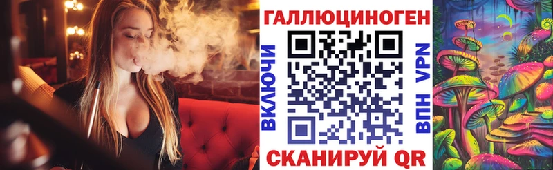 mega как зайти  Оха  Галлюциногенные грибы Psilocybine cubensis 